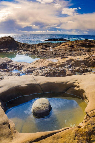 Tidepool-Point Lobos State Natural Reserve-California-USA Black Ornate Wood Framed Art Print with Double Matting by Miller, Anna