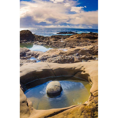 Tidepool-Point Lobos State Natural Reserve-California-USA Black Modern Wood Framed Art Print by Miller, Anna