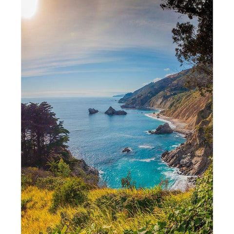 Coastal Cliffs at Sunset-Julia Pfeiffer Burns State Park-Big Sur-California-USA Black Modern Wood Framed Art Print by Miller, Anna