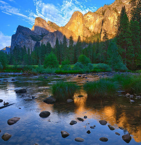 Merced River-Yosemite National Park-California-USA White Modern Wood Framed Art Print with Double Matting by Miller, Anna