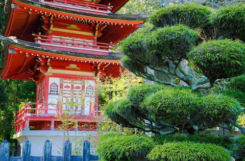 Pagoda-Japanese Tea Garden-Golden Gate Park-San Francisco-California-USA White Modern Wood Framed Art Print with Double Matting by Miller, Anna