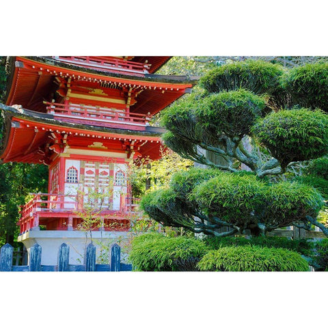 Pagoda-Japanese Tea Garden-Golden Gate Park-San Francisco-California-USA Gold Ornate Wood Framed Art Print with Double Matting by Miller, Anna