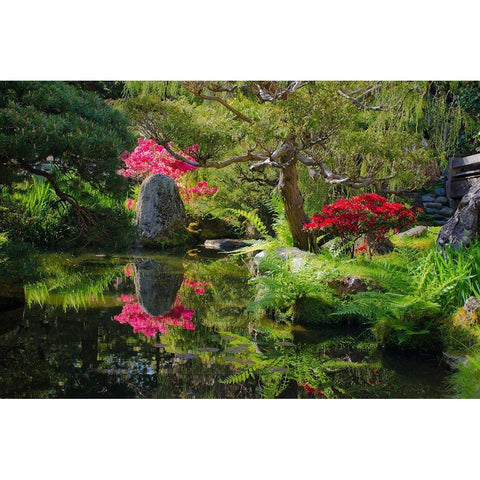 Japanese Tea Garden-Golden Gate Park-San Francisco-California-USA Black Modern Wood Framed Art Print with Double Matting by Miller, Anna