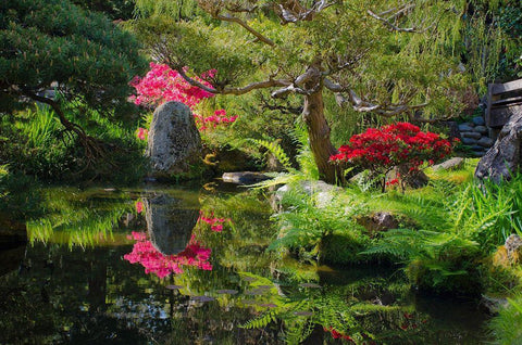 Japanese Tea Garden-Golden Gate Park-San Francisco-California-USA White Modern Wood Framed Art Print with Double Matting by Miller, Anna