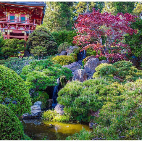 Pagoda-Japanese Tea Garden-Golden Gate Park-San Francisco-California-USA Black Modern Wood Framed Art Print with Double Matting by Miller, Anna