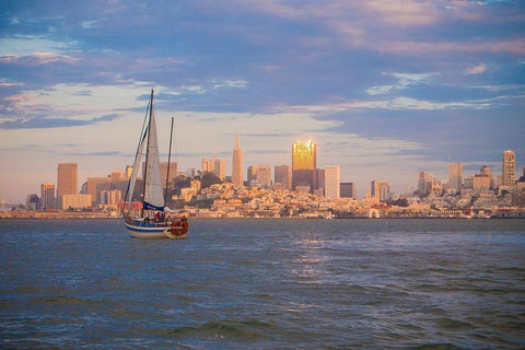San Francisco Skyline-California-USA Black Ornate Wood Framed Art Print with Double Matting by Miller, Anna