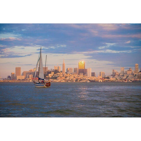 San Francisco Skyline-California-USA Black Modern Wood Framed Art Print by Miller, Anna