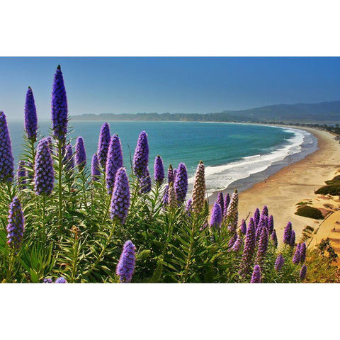Beach-Coastal Marin Headlands-California-USA Black Modern Wood Framed Art Print by Miller, Anna