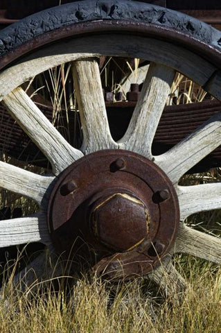 California, Bodie state Historic Park, Old wheel Black Ornate Wood Framed Art Print with Double Matting by Kirkland, Dennis
