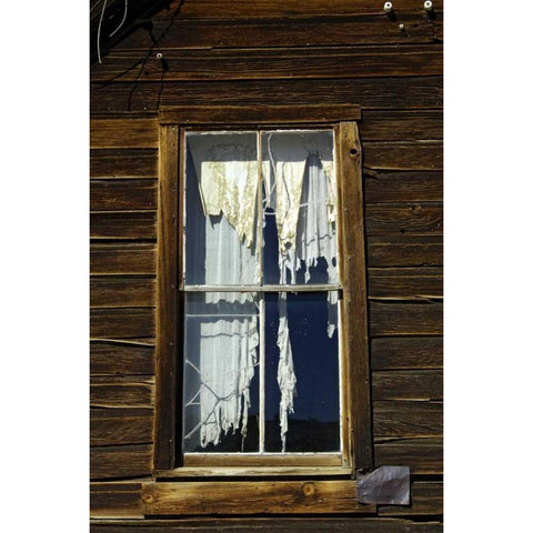 CA, Bodie SP, Tattered drapes hang in a window Gold Ornate Wood Framed Art Print with Double Matting by Kirkland, Dennis