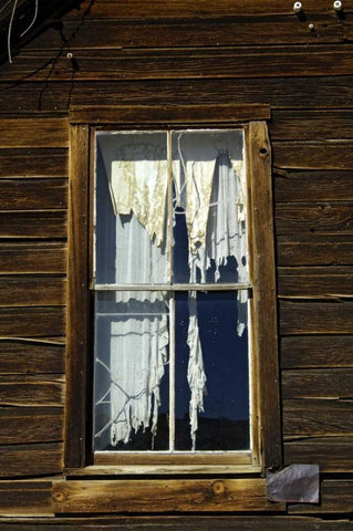 CA, Bodie SP, Tattered drapes hang in a window Black Ornate Wood Framed Art Print with Double Matting by Kirkland, Dennis