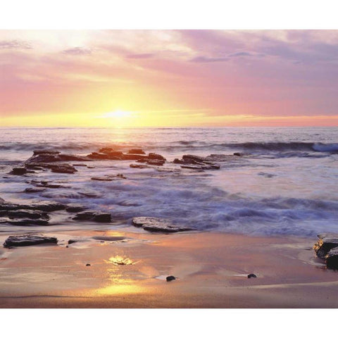 CA, San Diego Sunset Cliffs beach at sunset Black Modern Wood Framed Art Print by Talbot Frank, Christopher