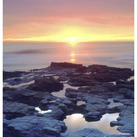 CA, San Diego Sunset Cliffs tide pools at sunset Black Modern Wood Framed Art Print by Talbot Frank, Christopher