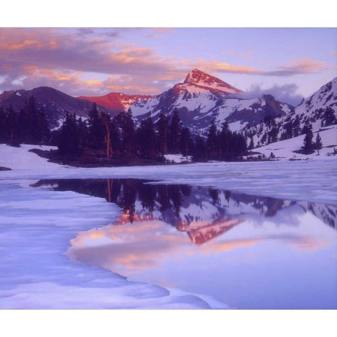 CA, Sierra Nevada Mt Dana at sunset reflection White Modern Wood Framed Art Print by Talbot Frank, Christopher