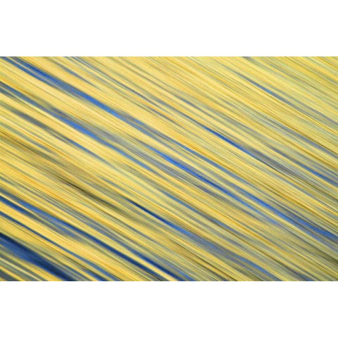 CA, La Jolla Abstract blur of ocean at dawn White Modern Wood Framed Art Print by Morris, Arthur