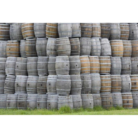 CA, San Luis Obispo Co, Stacks of wine barrels White Modern Wood Framed Art Print by Flaherty, Dennis