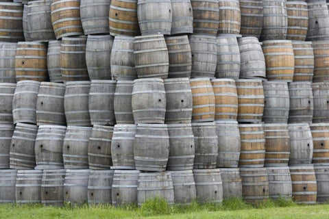 CA, San Luis Obispo Co, Stacks of wine barrels Black Ornate Wood Framed Art Print with Double Matting by Flaherty, Dennis