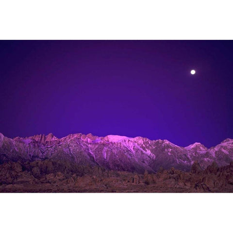 CA, Alabama Hills Moon over the Eastern Sierras Black Modern Wood Framed Art Print by Welling, Dave