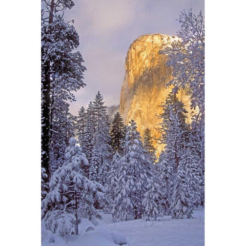California, Yosemite El Capitan lit by sunlight Black Modern Wood Framed Art Print by Welling, Dave
