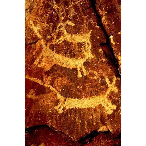 California, Little Petroglyph Canyon Petroglyphs Black Modern Wood Framed Art Print by Welling, Dave