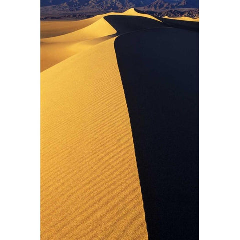 CA, Death Valley NP Patterns on Sand Dunes Gold Ornate Wood Framed Art Print with Double Matting by Welling, Dave