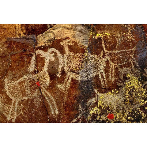 California, Little Petroglyph Canyon Petroglyphs White Modern Wood Framed Art Print by Welling, Dave