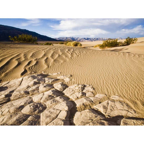 CA, Death Valley NP Mesquite Flat Sand Dunes Black Modern Wood Framed Art Print by Kaveney, Wendy