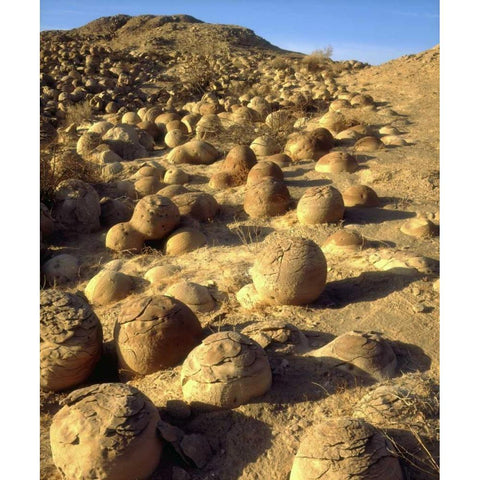 CA, San Diego Sandstone concretions patterns Black Modern Wood Framed Art Print by Talbot Frank, Christopher