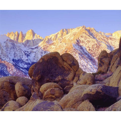California, Sierra Nevada Mt Whitney at sunrise White Modern Wood Framed Art Print by Talbot Frank, Christopher