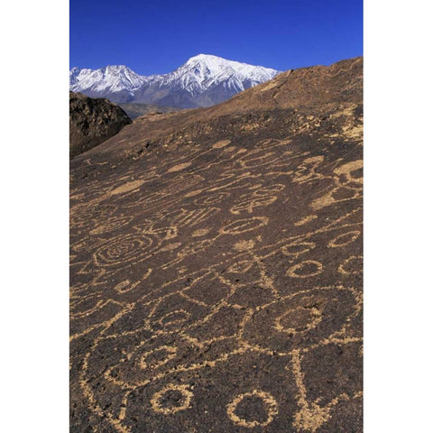 CA, Sierra Nevada Circular and linear petroglyph Gold Ornate Wood Framed Art Print with Double Matting by Flaherty, Dennis