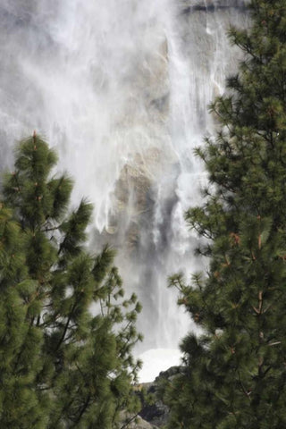 CA, Yosemite View o fYosemite Falls in March Black Ornate Wood Framed Art Print with Double Matting by Noble Gardner, Nancy