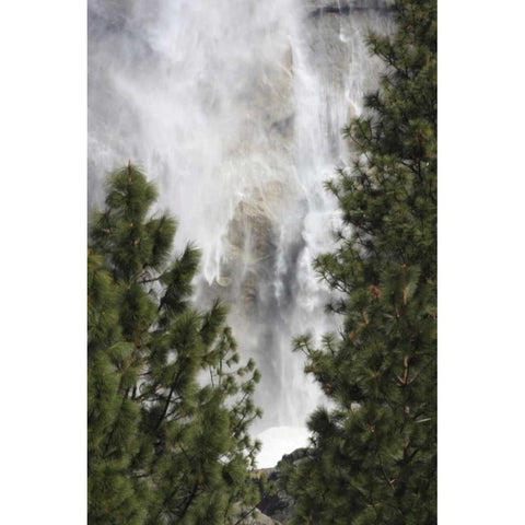 CA, Yosemite View o fYosemite Falls in March Black Modern Wood Framed Art Print with Double Matting by Noble Gardner, Nancy