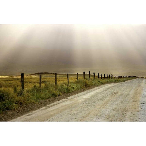 USA, California Country road lit by sun rays Gold Ornate Wood Framed Art Print with Double Matting by Paulson, Don