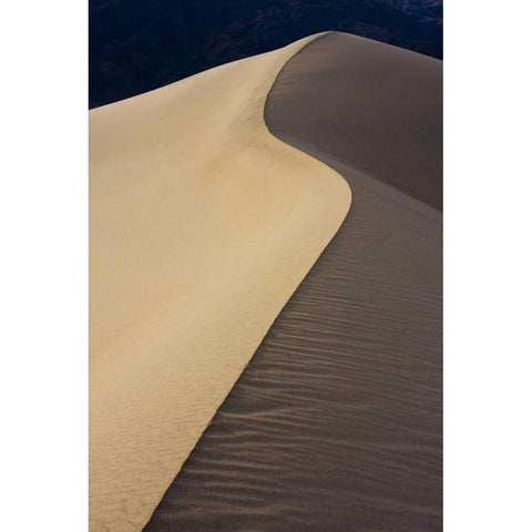 CA, Death Valley NP Dune ridge in morning light Gold Ornate Wood Framed Art Print with Double Matting by Young, Bill