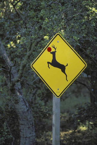 CA, Rudolph the reindeer crossing sign on Highway White Modern Wood Framed Art Print with Double Matting by Grall, Don