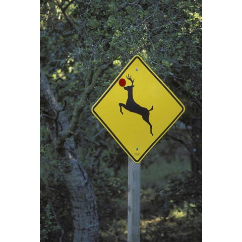 CA, Rudolph the reindeer crossing sign on Highway Black Modern Wood Framed Art Print with Double Matting by Grall, Don