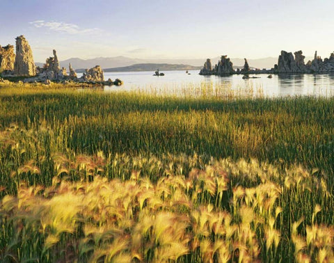 CA, Eastern Sierras, Mono Lake landscape White Modern Wood Framed Art Print with Double Matting by Flaherty, Dennis