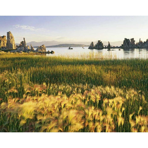 CA, Eastern Sierras, Mono Lake landscape White Modern Wood Framed Art Print by Flaherty, Dennis