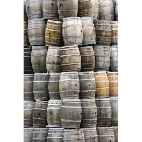 CA, San Luis Obispo Co Stacks of wine barrels Black Modern Wood Framed Art Print with Double Matting by Flaherty, Dennis