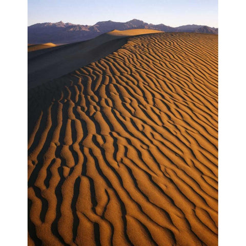 Patterns at Mesquite Sand dunes, Death Valley, CA Black Modern Wood Framed Art Print with Double Matting by Flaherty, Dennis