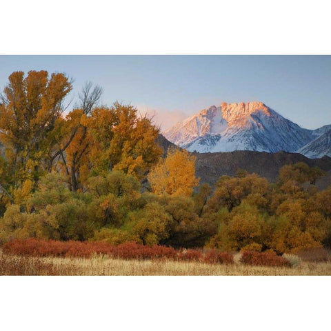 CA, Sierra Nevada, Owens Valley Basin Mountain White Modern Wood Framed Art Print by Flaherty, Dennis