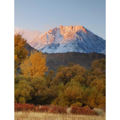 CA, Sierra Nevada, Owens Valley Basin Mountain White Modern Wood Framed Art Print by Flaherty, Dennis