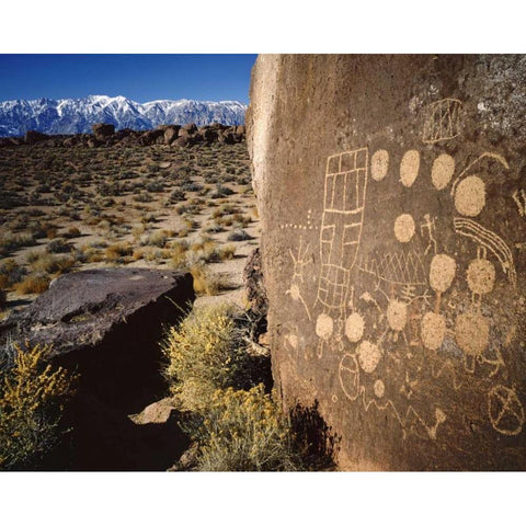 CA, Bishop, Sierra Mts Curvilinear petroglyphs Gold Ornate Wood Framed Art Print with Double Matting by Flaherty, Dennis