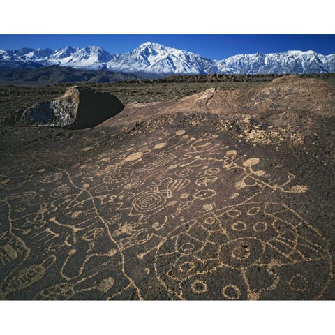 CA, Bishop, Sierra Mts Curvilinear petroglyphs White Modern Wood Framed Art Print by Flaherty, Dennis