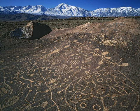 CA, Bishop, Sierra Mts Curvilinear petroglyphs White Modern Wood Framed Art Print with Double Matting by Flaherty, Dennis