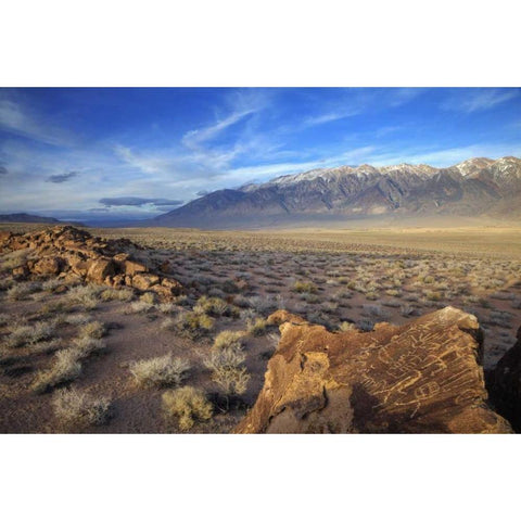 California Great Basin Abstract petroglyphs White Modern Wood Framed Art Print by Flaherty, Dennis