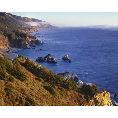 CA, Julia Pfeifer Burns SP Shoreline scenic White Modern Wood Framed Art Print by Flaherty, Dennis