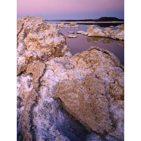 CA, Mono Lake reflections in south tufa area White Modern Wood Framed Art Print by Flaherty, Dennis