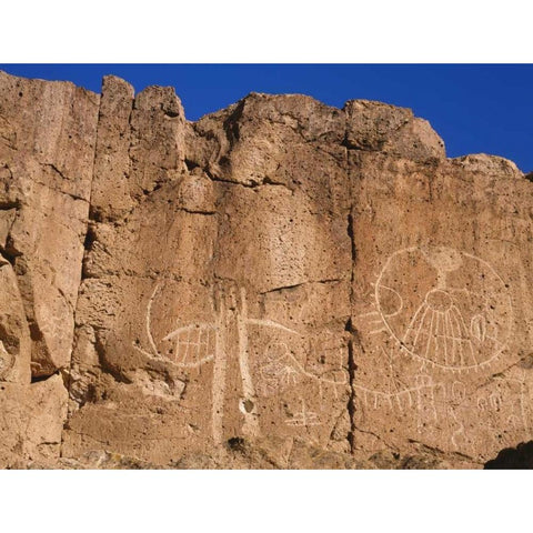 California, Owens Valley, Curvilinear petroglyphs Gold Ornate Wood Framed Art Print with Double Matting by Flaherty, Dennis