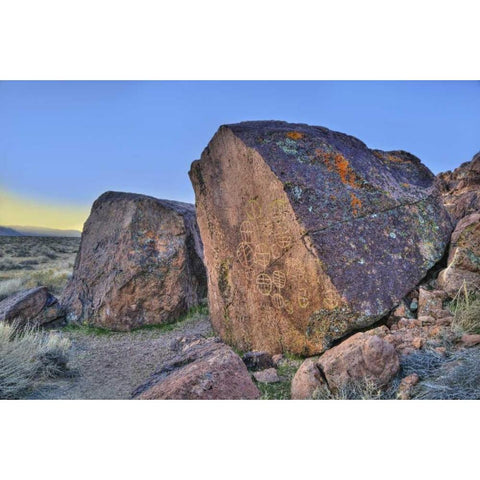 California, Owens Valley, Curvilinear petroglyphs Black Modern Wood Framed Art Print with Double Matting by Flaherty, Dennis